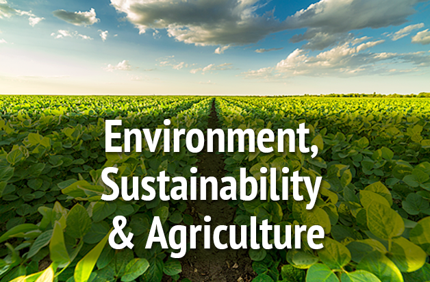 Environment, Sustainability and Agriculture