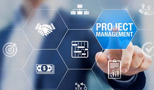 Certificate in Project Management