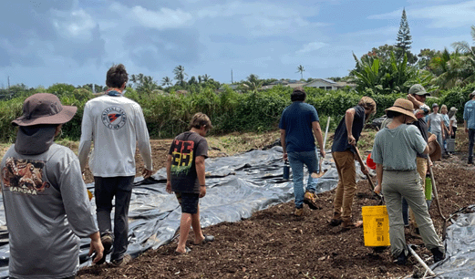Climate-Smart Agriculture in Hawaii - Foundations in Soil Health